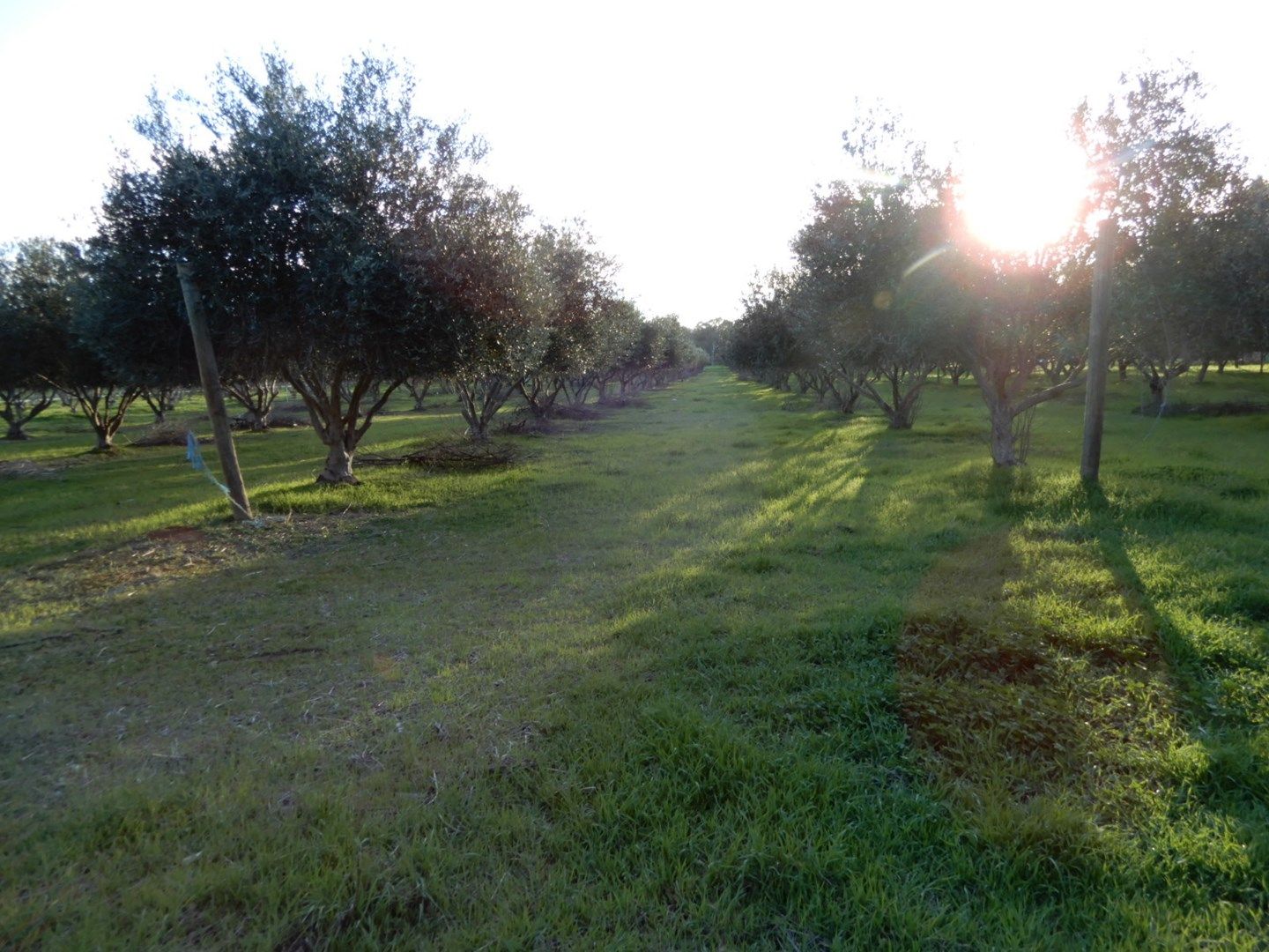 Allotment 100 Stock Route Road, Laura SA 5480, Image 0