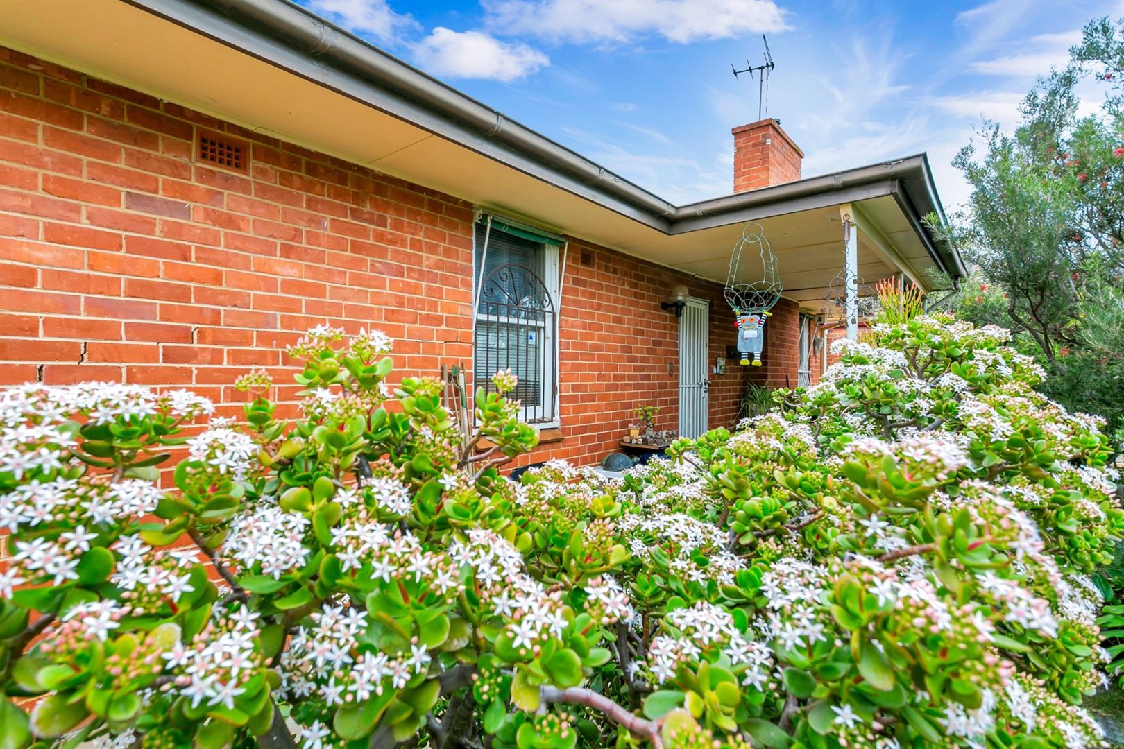 8 Britton Avenue, Tranmere SA 5073, Image 0