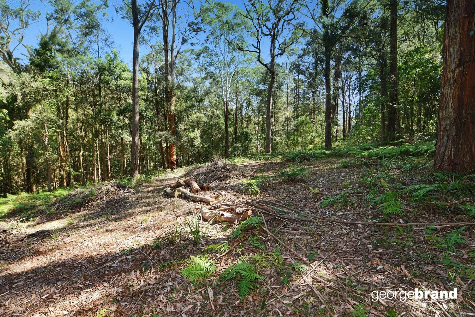 777 The Scenic Road, Macmasters Beach NSW 2251, Image 1