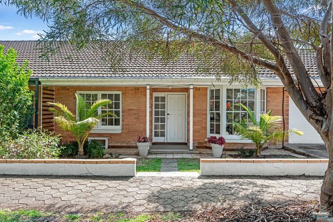 Picture of 33 Torrens Street, LINDEN PARK SA 5065