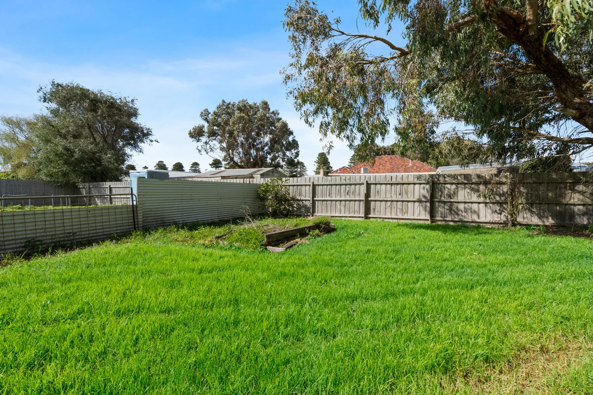 Image 15