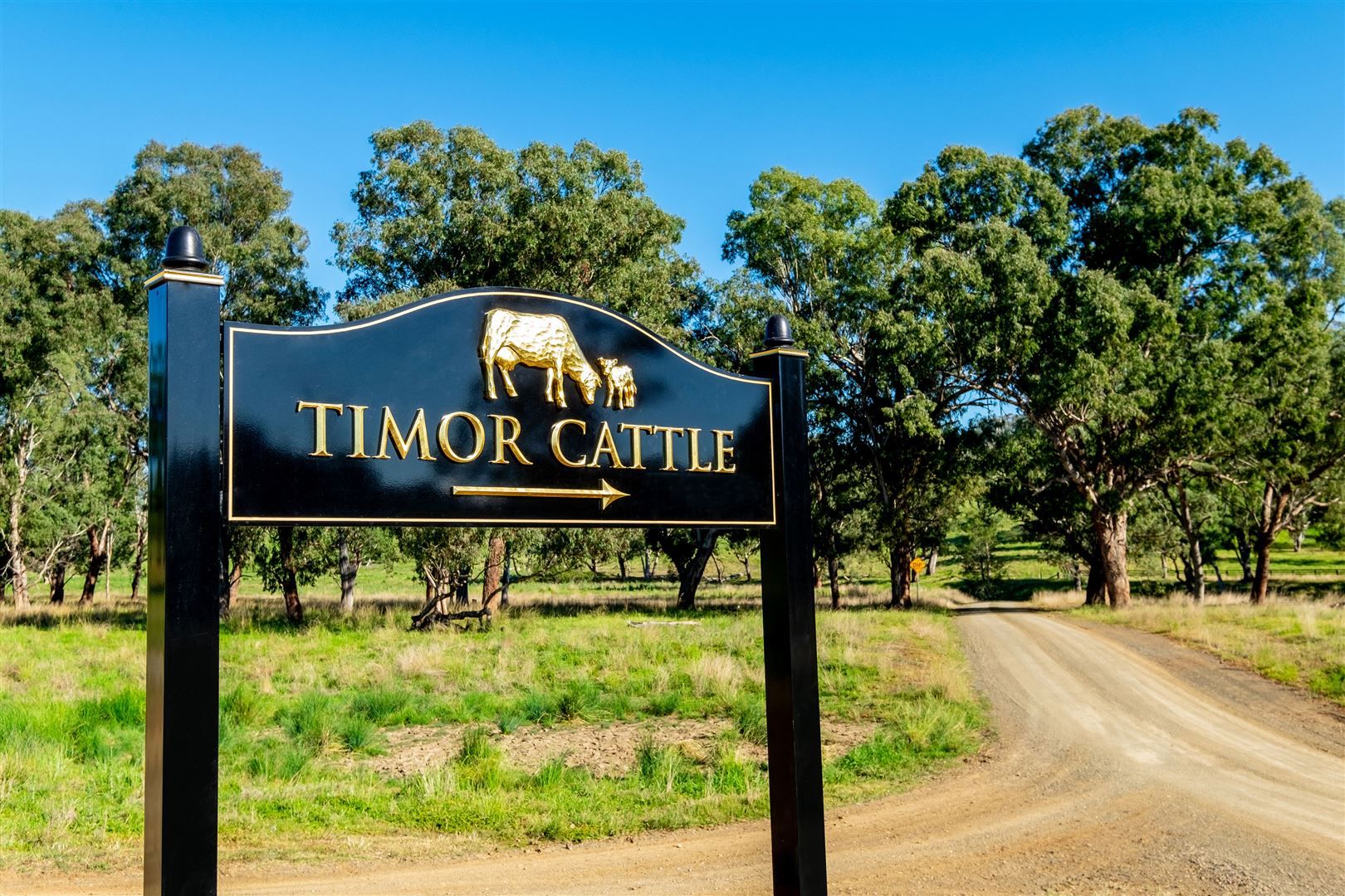 'Timor Cattle', Timor Creek Rd, Murrurundi NSW 2338 - Farm for Sale