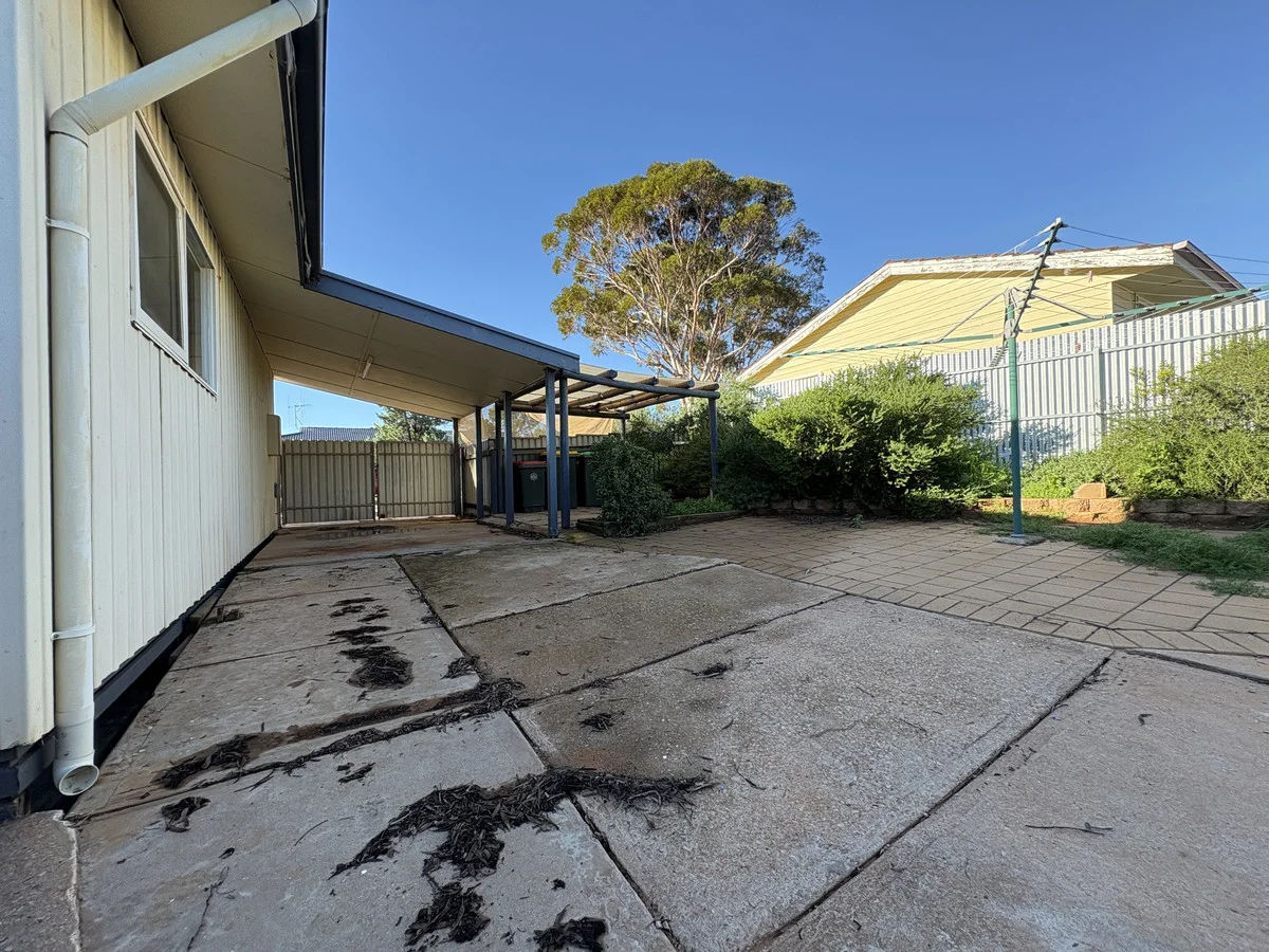 Image 20