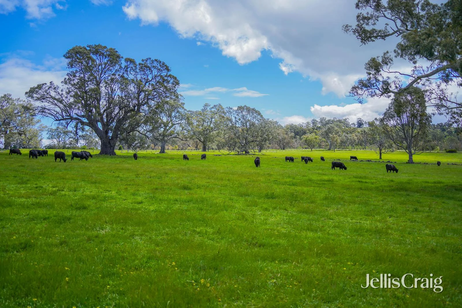 Additional image 17 of 'Nioka' 30 Minogues Road, Kyneton VIC 3444