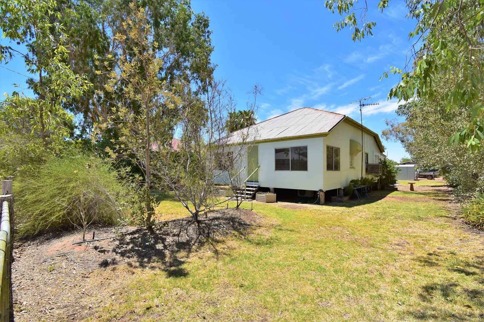 80 Acacia Street, Barcaldine QLD 4725 House For Rent 290 Domain
