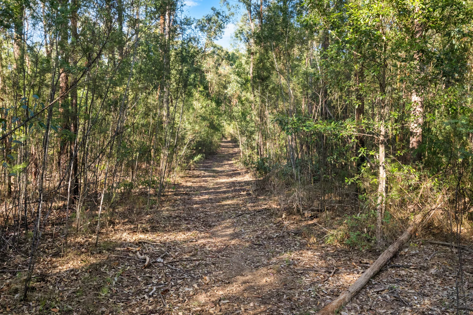 Image 12