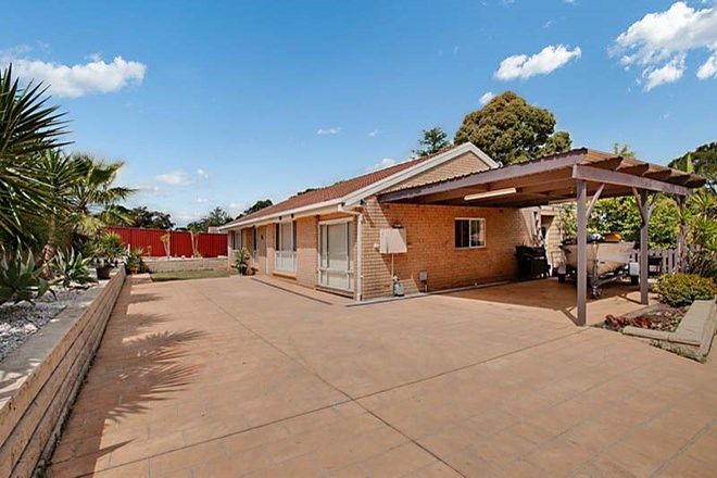 Picture of 88 Chasselas Avenue, ESCHOL PARK NSW 2558