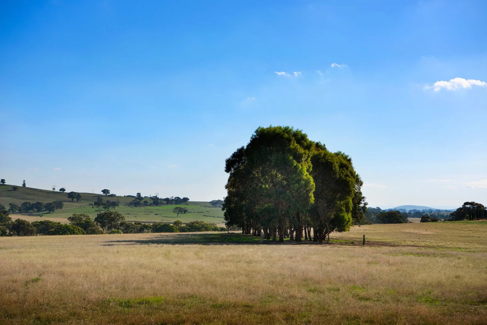 135 Tarrengower School Road, Tarrengower VIC 3463