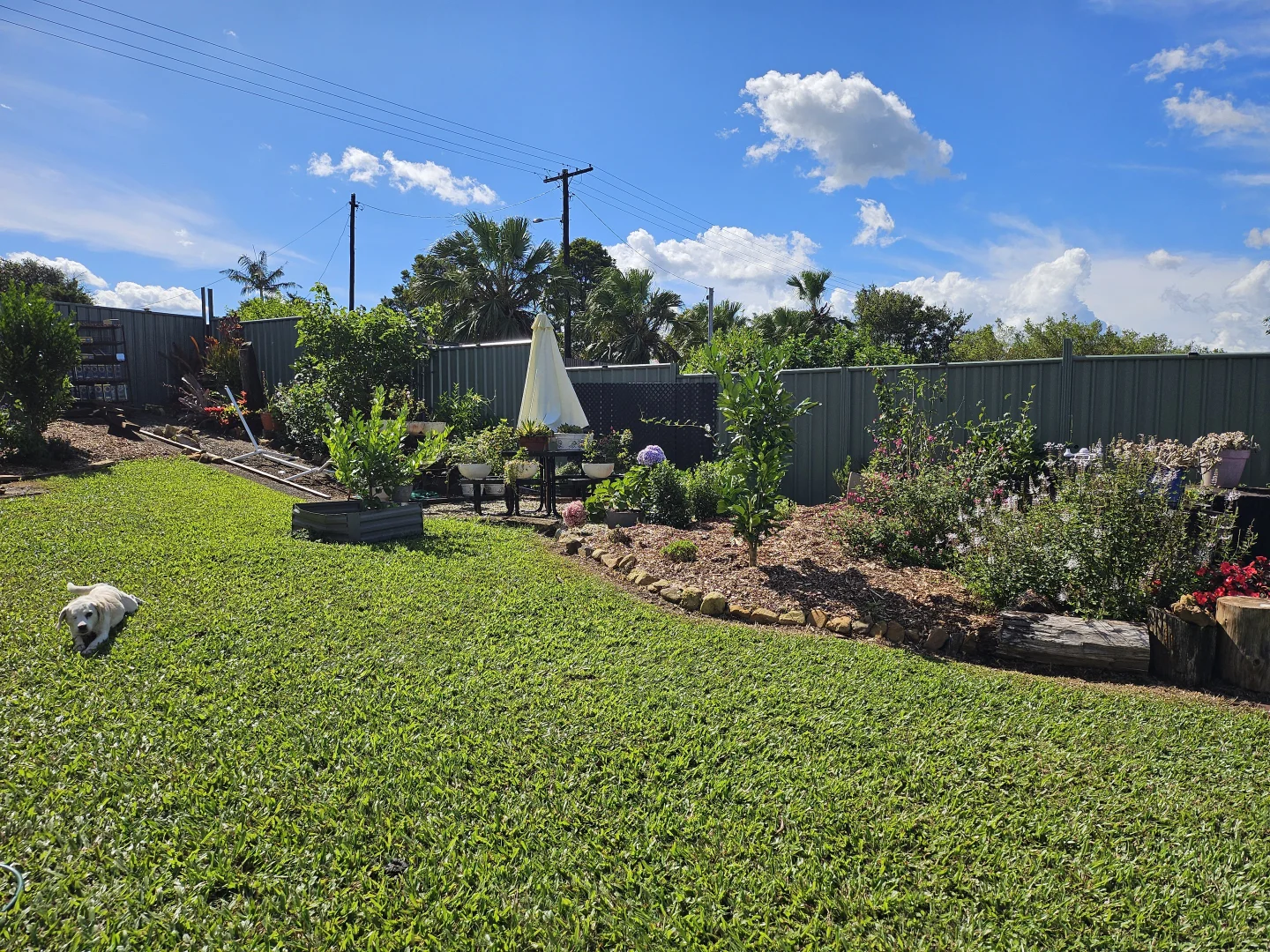 Additional image 29 of 6 Maple Street, Millaa Millaa QLD 4886