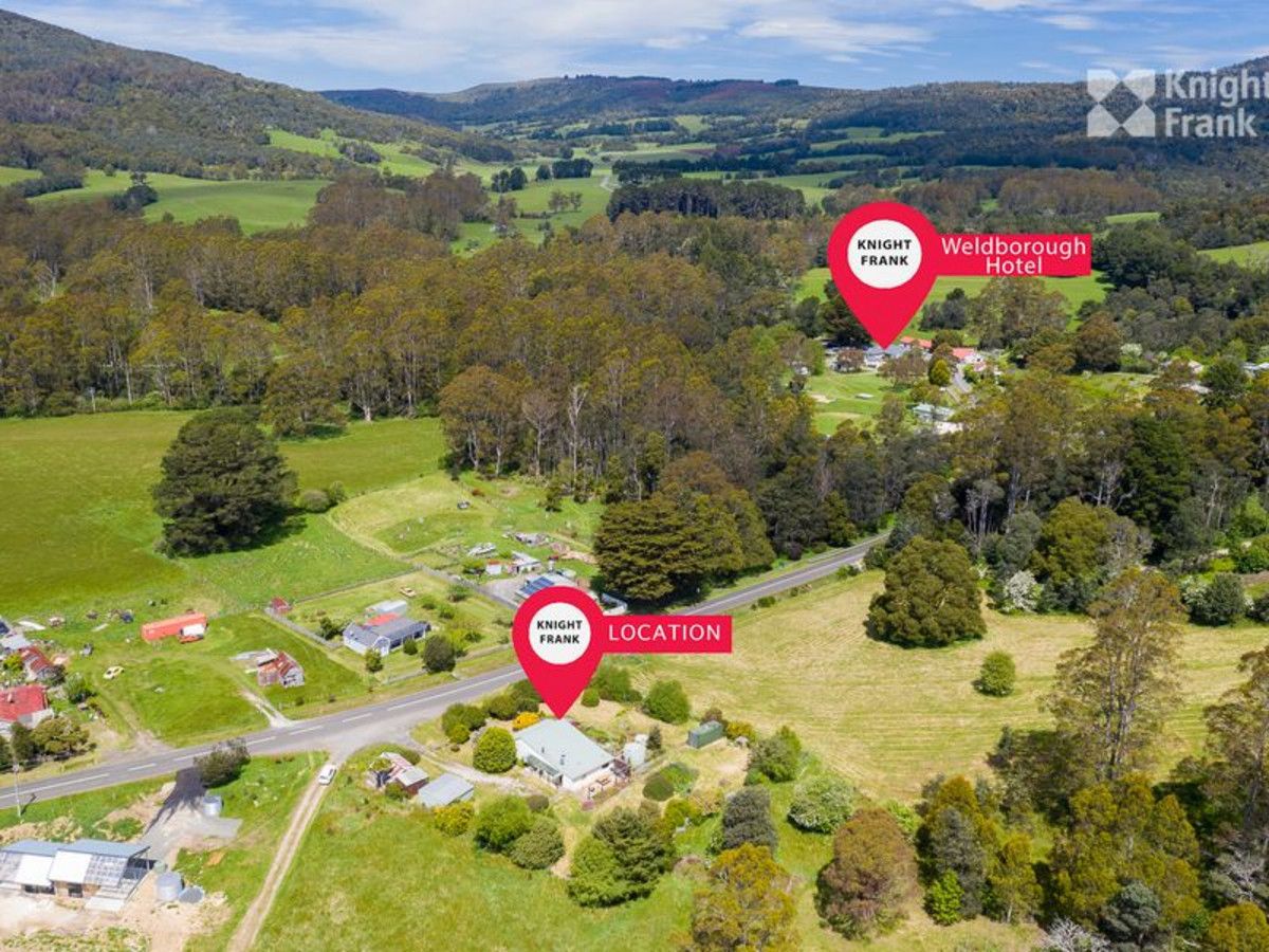 39 Main Road, Weldborough TAS 7264, Image 1