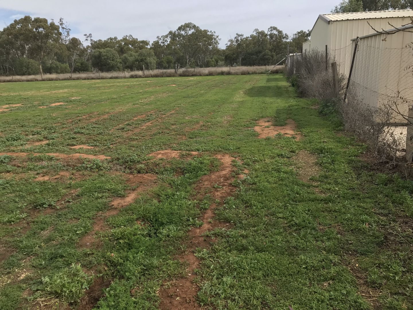 Lot 25/11 South Street, Morven QLD 4468, Image 1