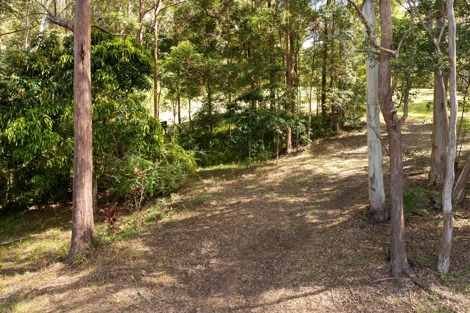 Image 20