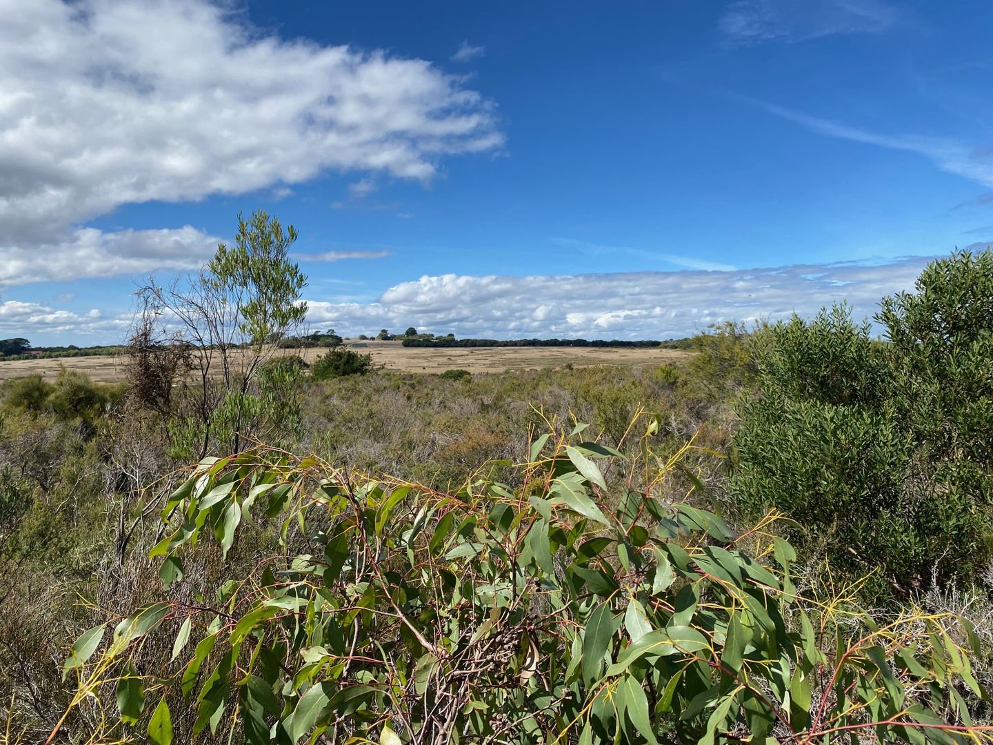 Lot 496 Fifth Street, French Island VIC 3921 Domain