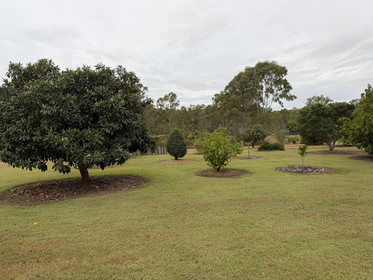 Image 26