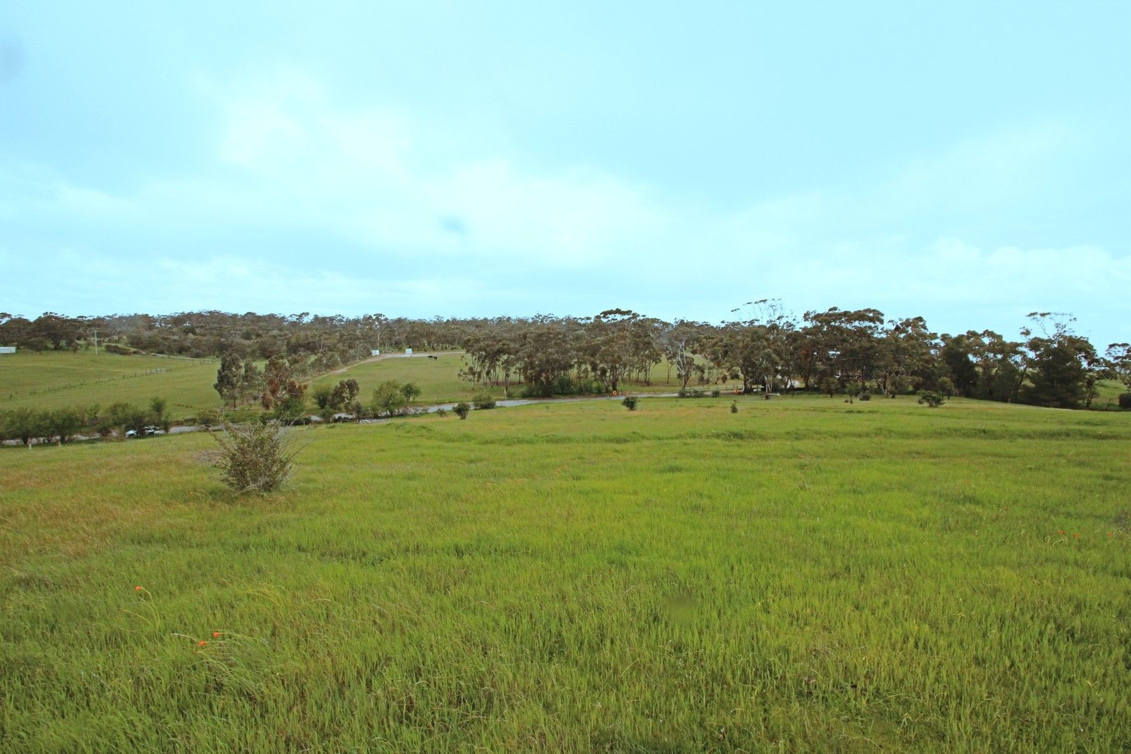 Lot 2 Boconnoc Park Road, Armagh SA 5453, Image 0