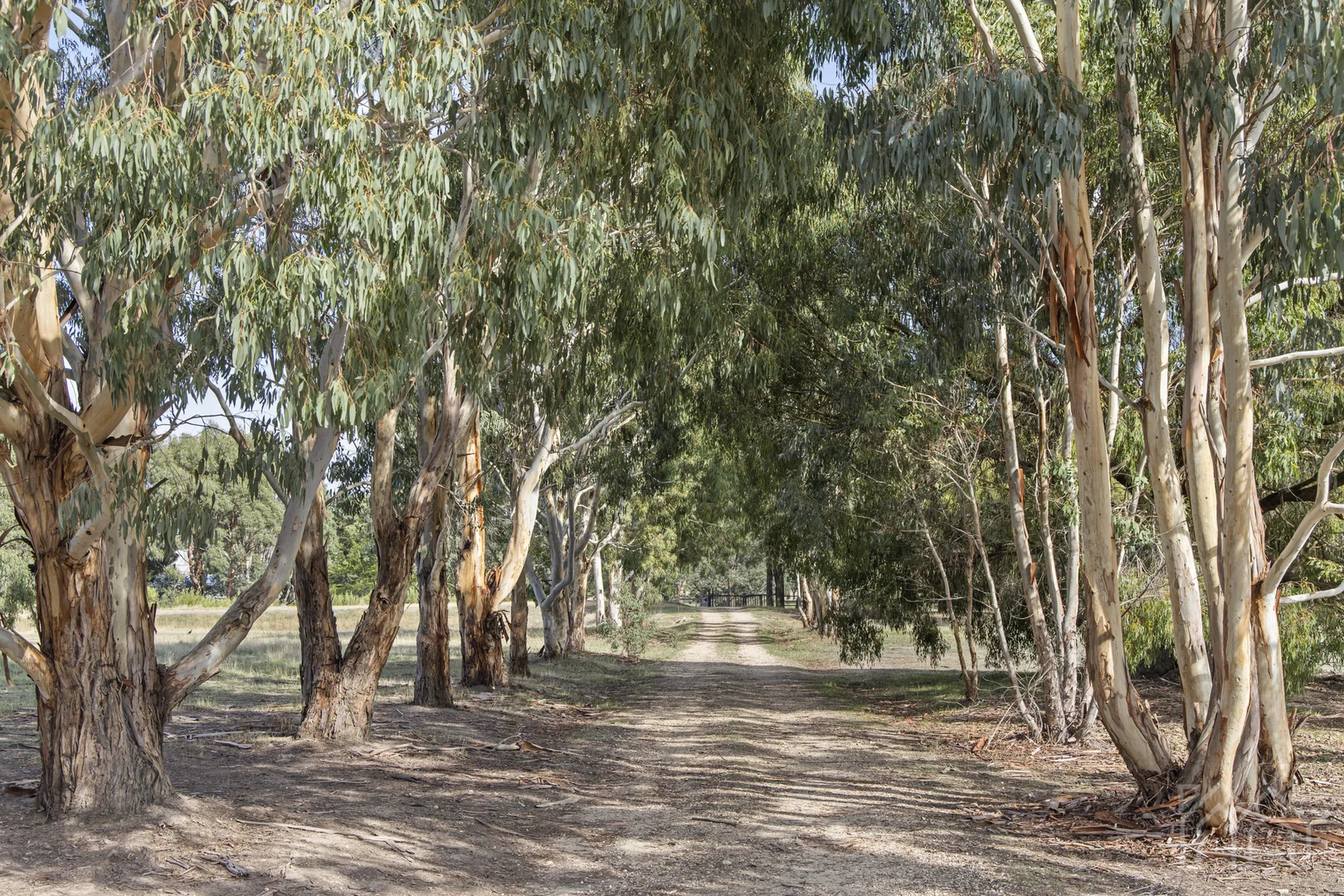 Additional image 18 of 25 Lowden Close, Goldie VIC 3435