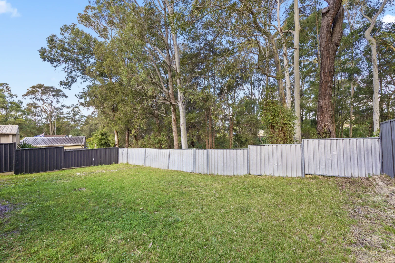 Image 13