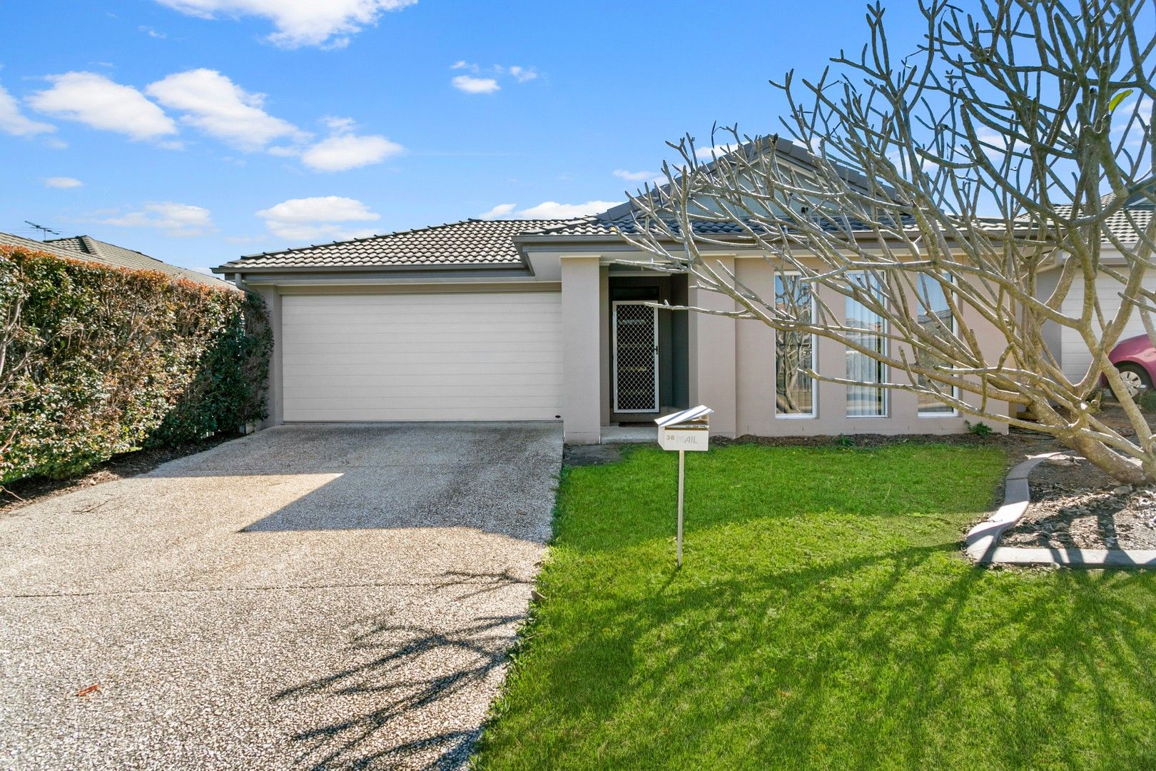 4 bedrooms House in 36 Langham Crescent NORTH LAKES QLD, 4509