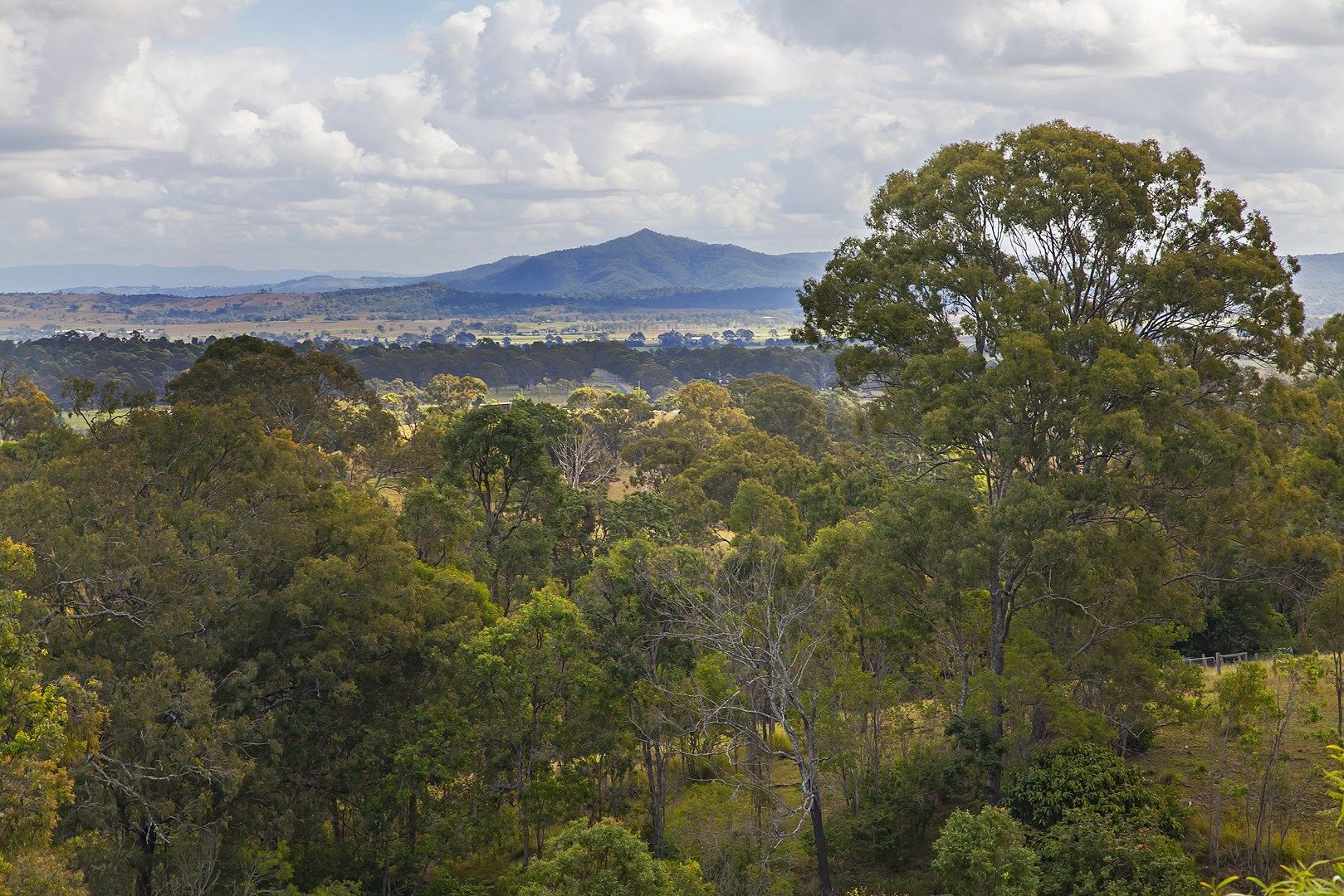 225 Worip Drive, Veresdale Scrub QLD 4285, Image 1