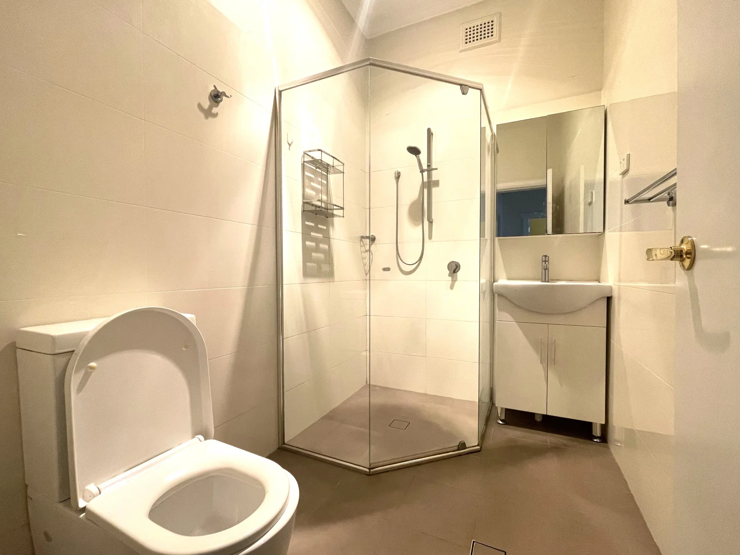 Additional image 8 of 3 Lemnos St, North Strathfield NSW 2137