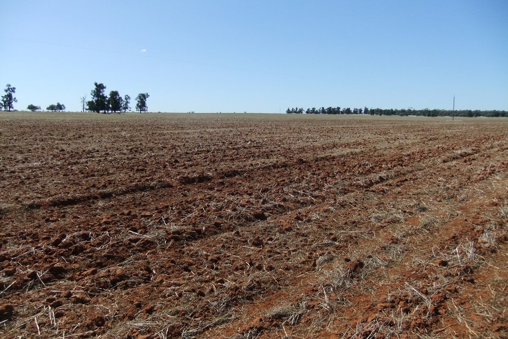 "Trelawn" Wild Horse Tank Road, Merriwagga NSW 2652, Image 0