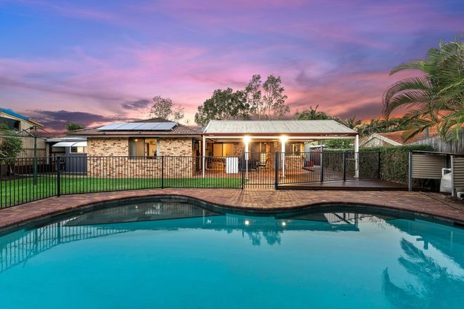 Picture of 4 Abill Court, ALGESTER QLD 4115