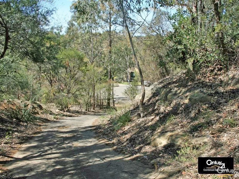 Image 7