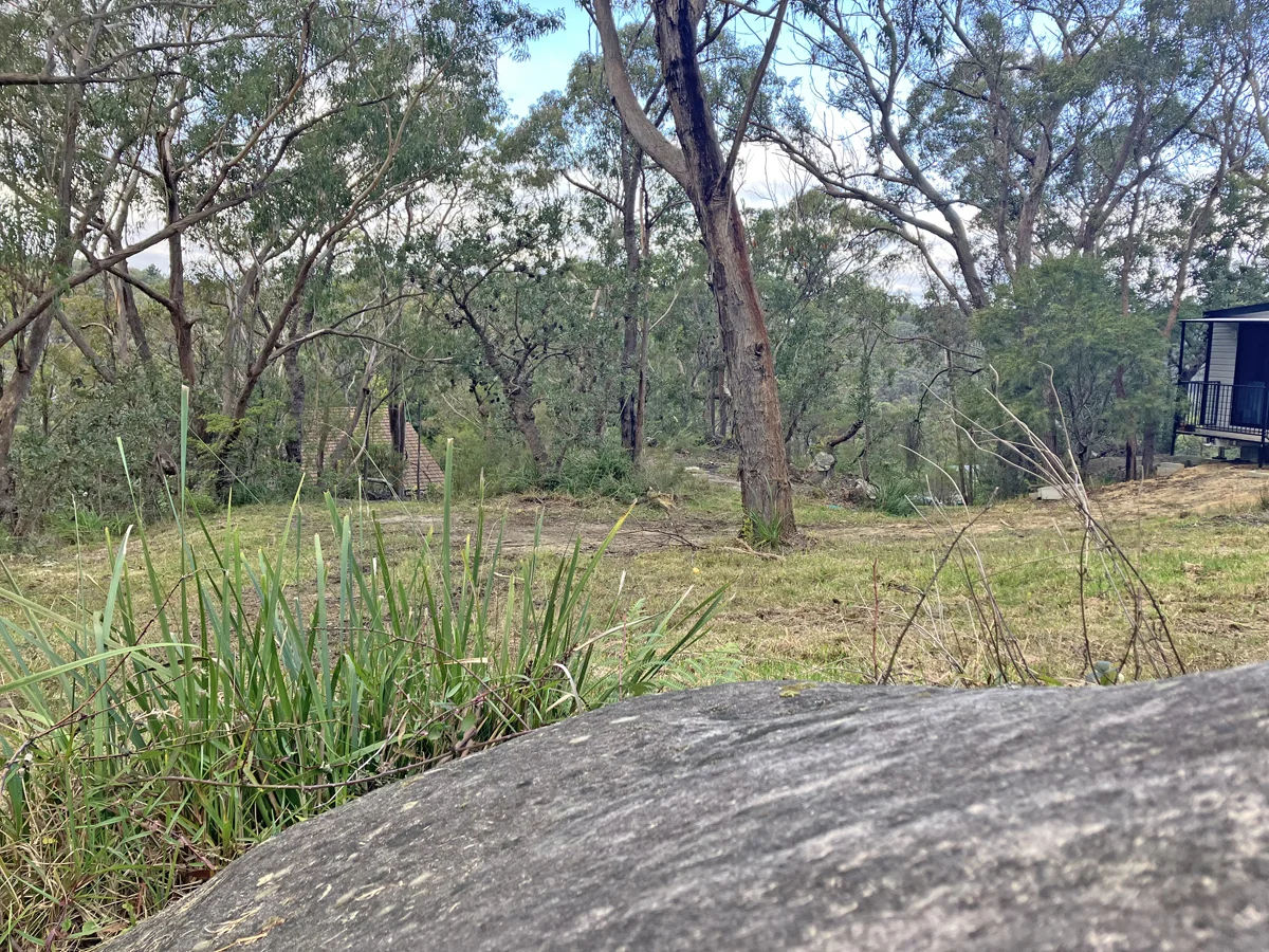 Image 11