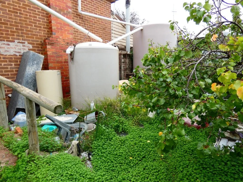 Image 17