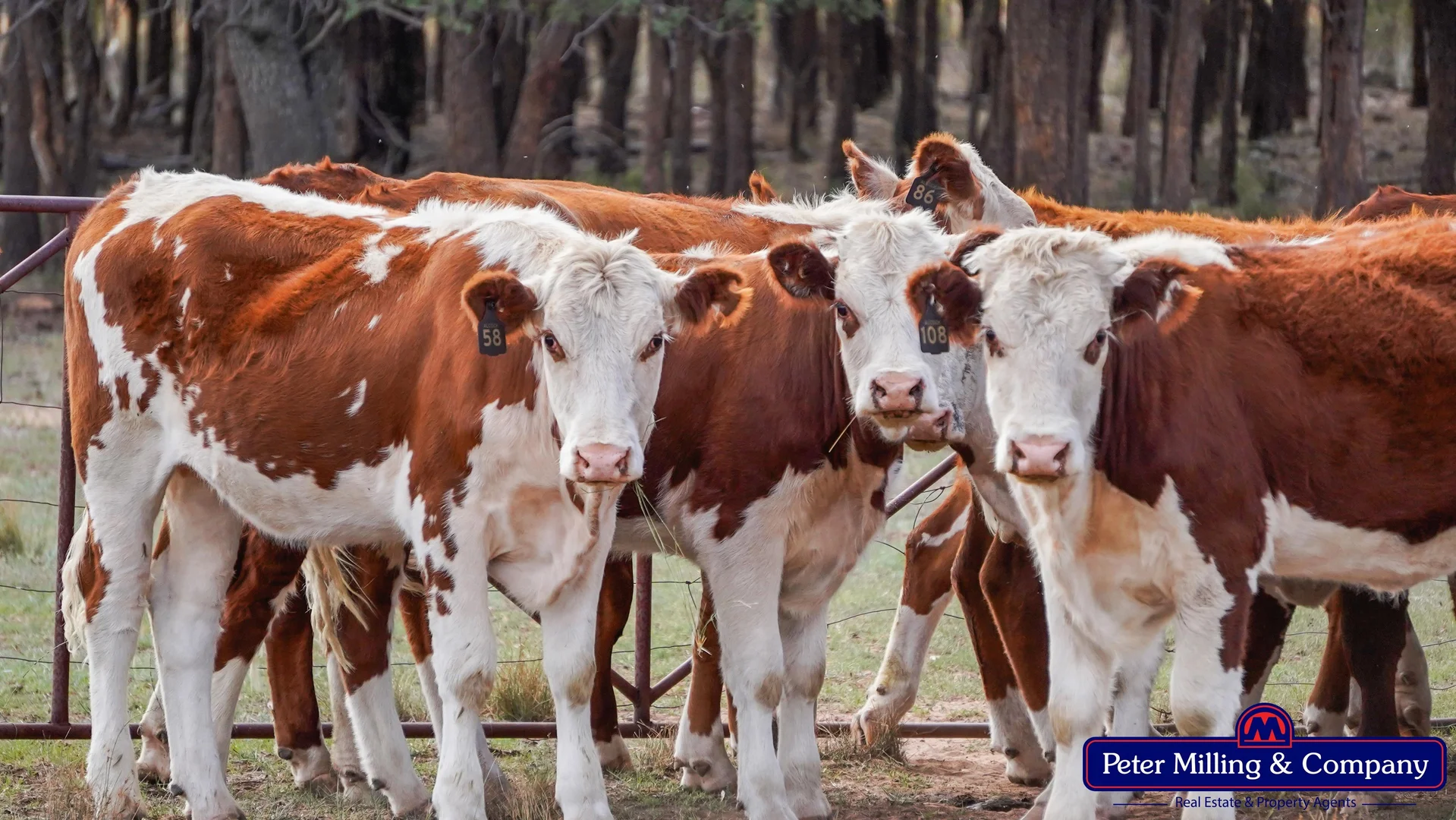 Additional image 24 of 44L Woodleys Road, Wongarbon NSW 2831