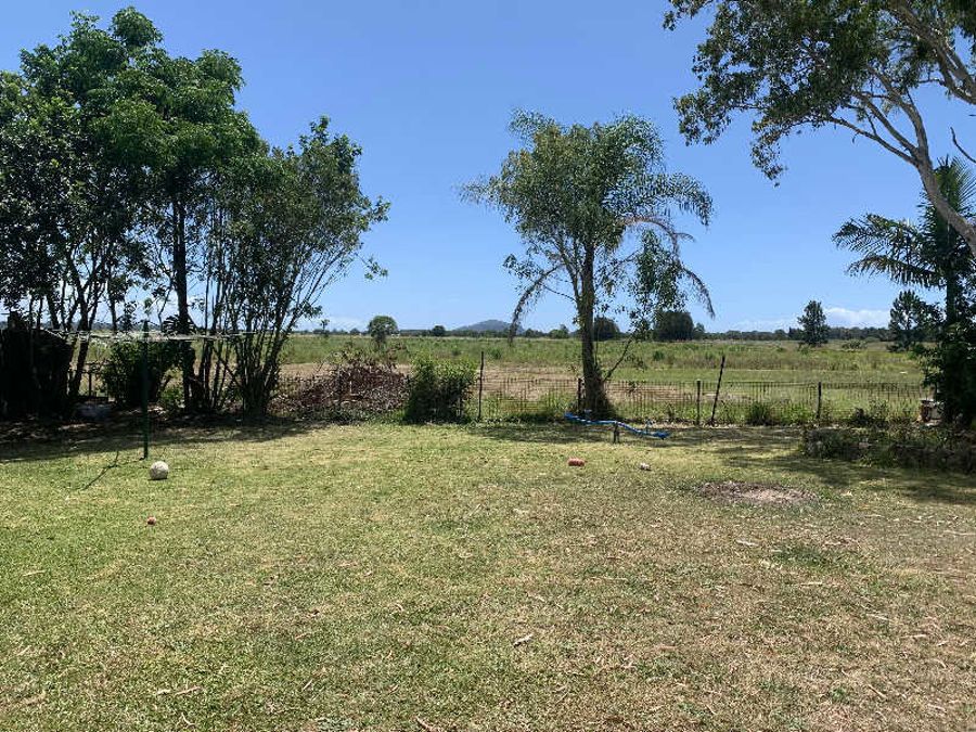 31 Godfreys Ave, Bli Bli QLD 4560 House For Rent Domain