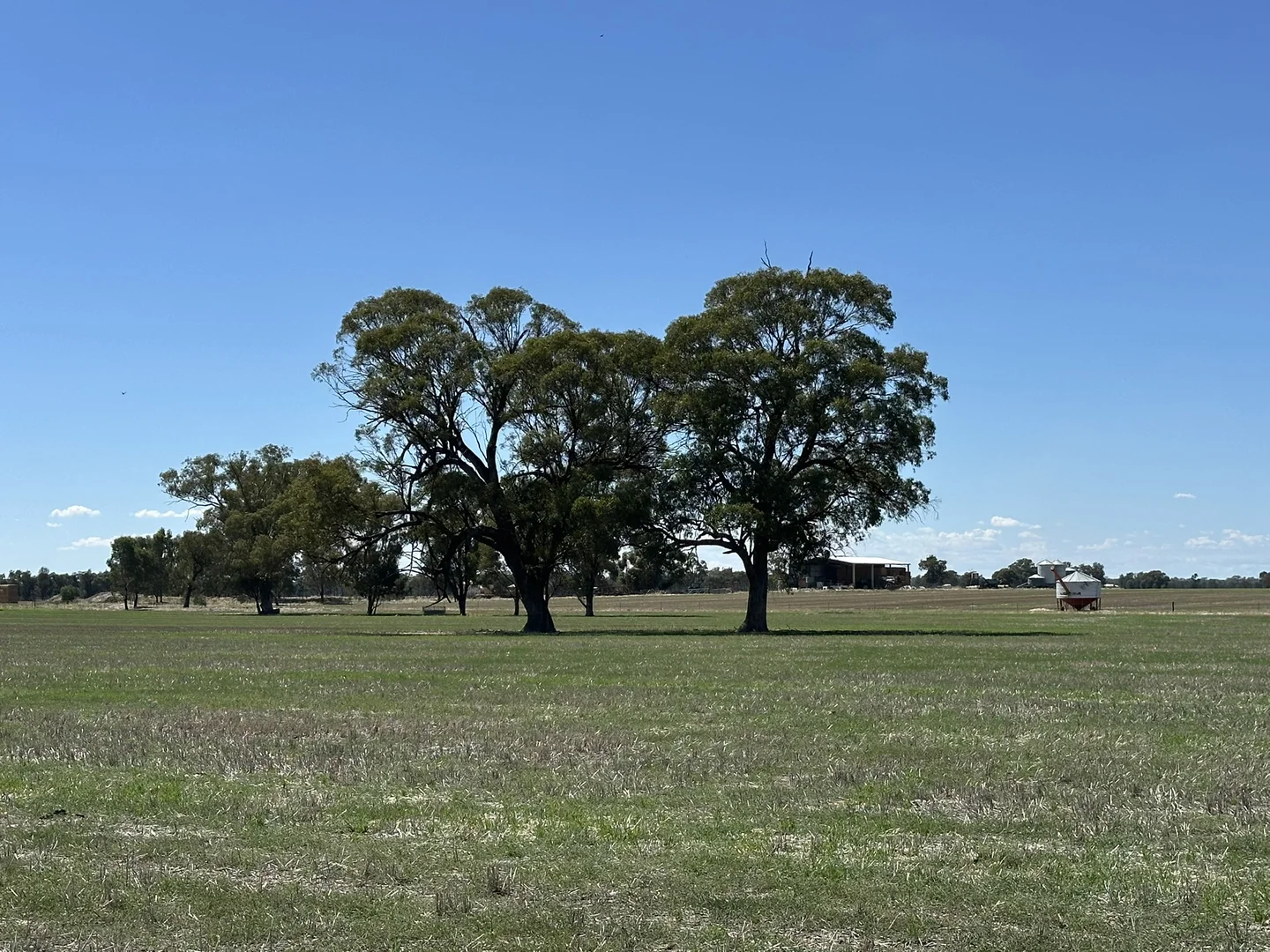 Additional image 19 of 1501 Howlong-Goombargana Road, Brocklesby NSW 2642