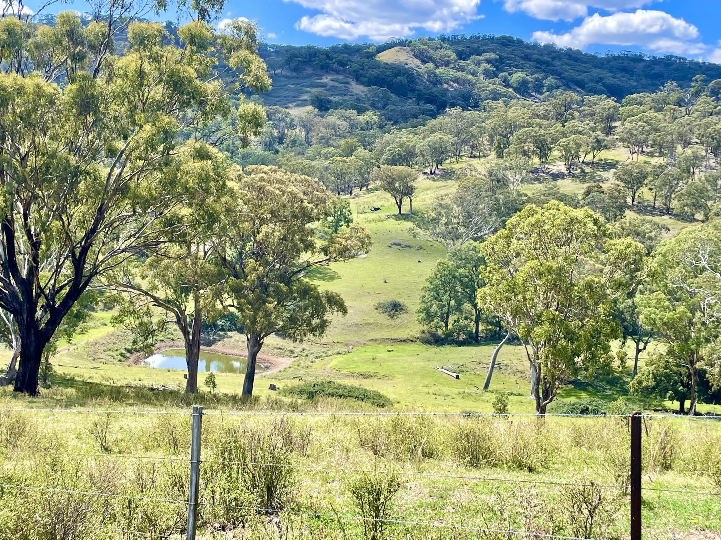 "Cooleen North" Bushs Creek Road Timor Via, Murrurundi NSW 2338, Image 1