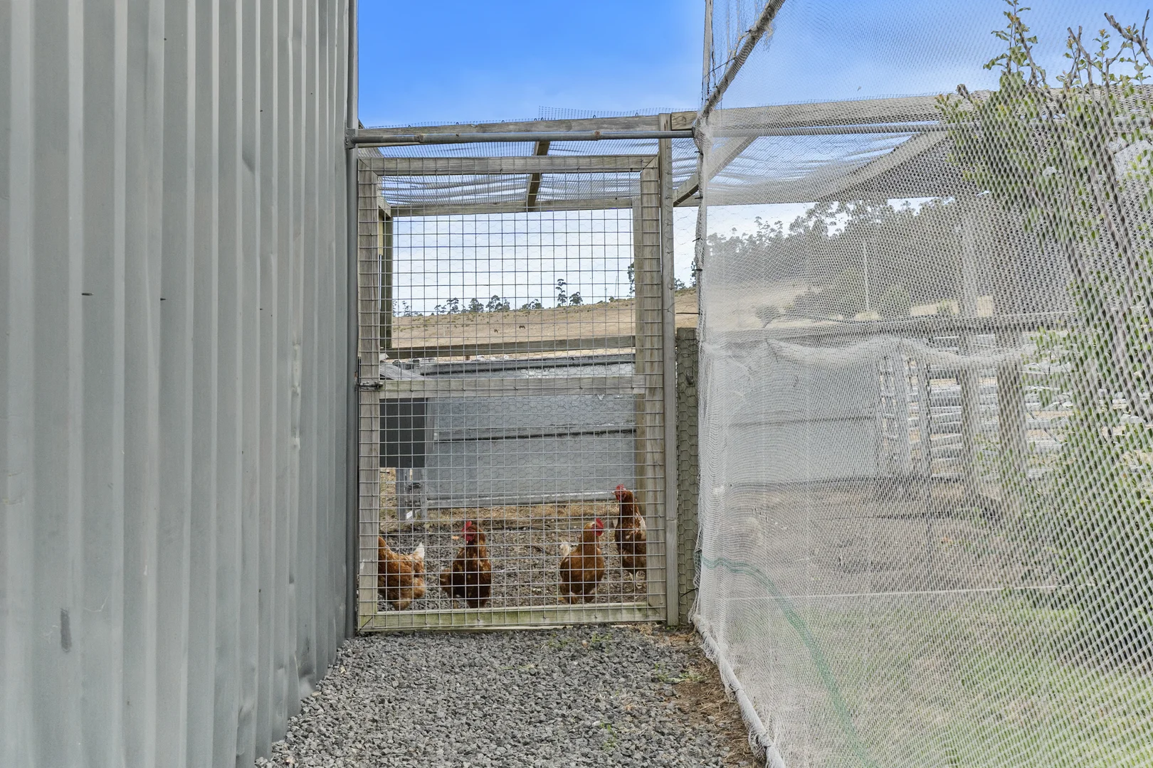 Additional image 38 of 94 Blue Hills Road, Copping TAS 7174