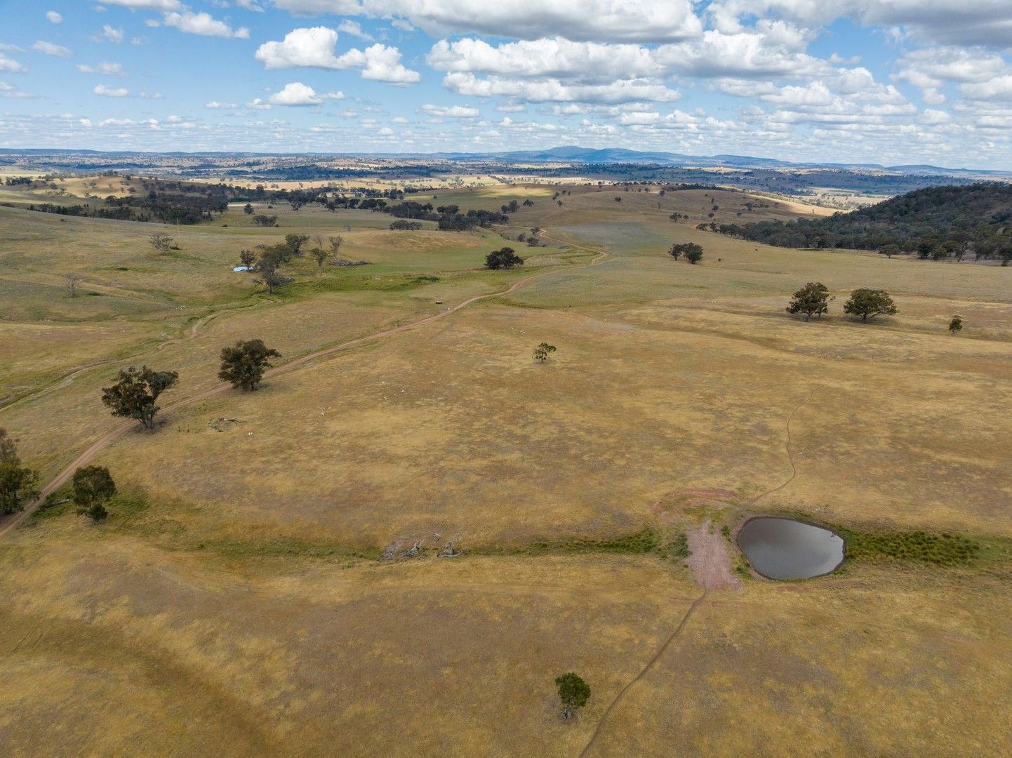 "Araluen" 273 McLachlans Road, Manildra NSW 2865, Image 0