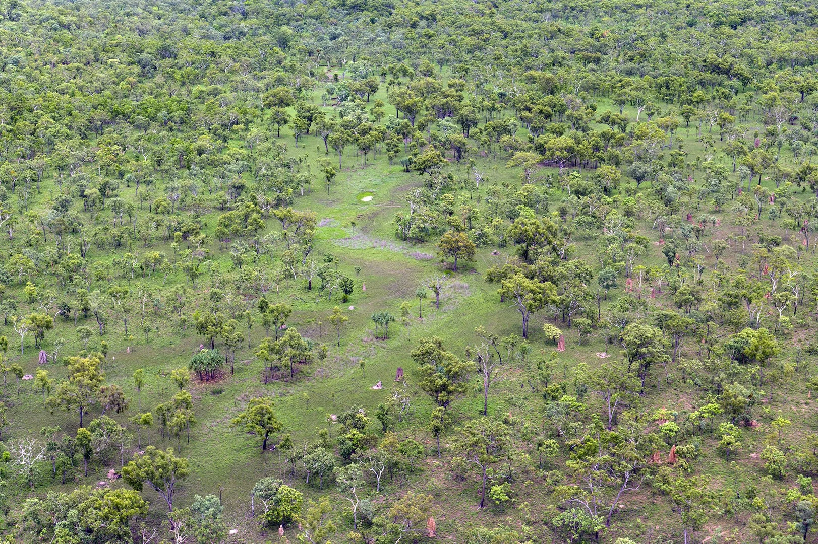 Additional image 10 of Douglas-Daly NT 0822