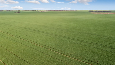 Picture of - Woorinen-Goschen Road, WOORINEN SOUTH VIC 3588