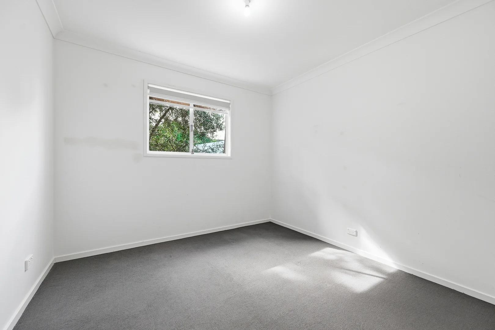 Image 22