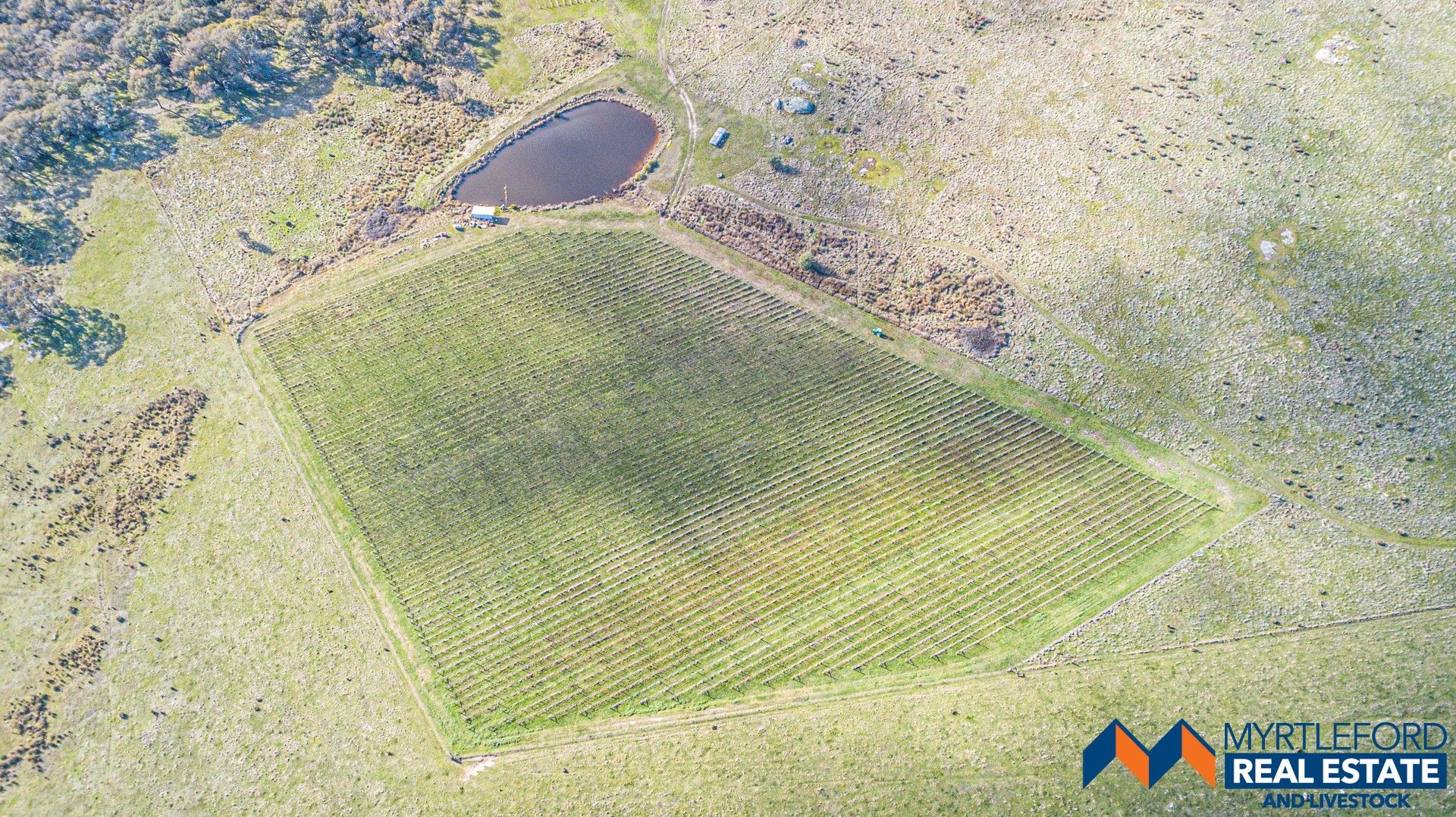 Lot 1 Flat Rock Rd, Beechworth VIC 3747 House for Sale Domain