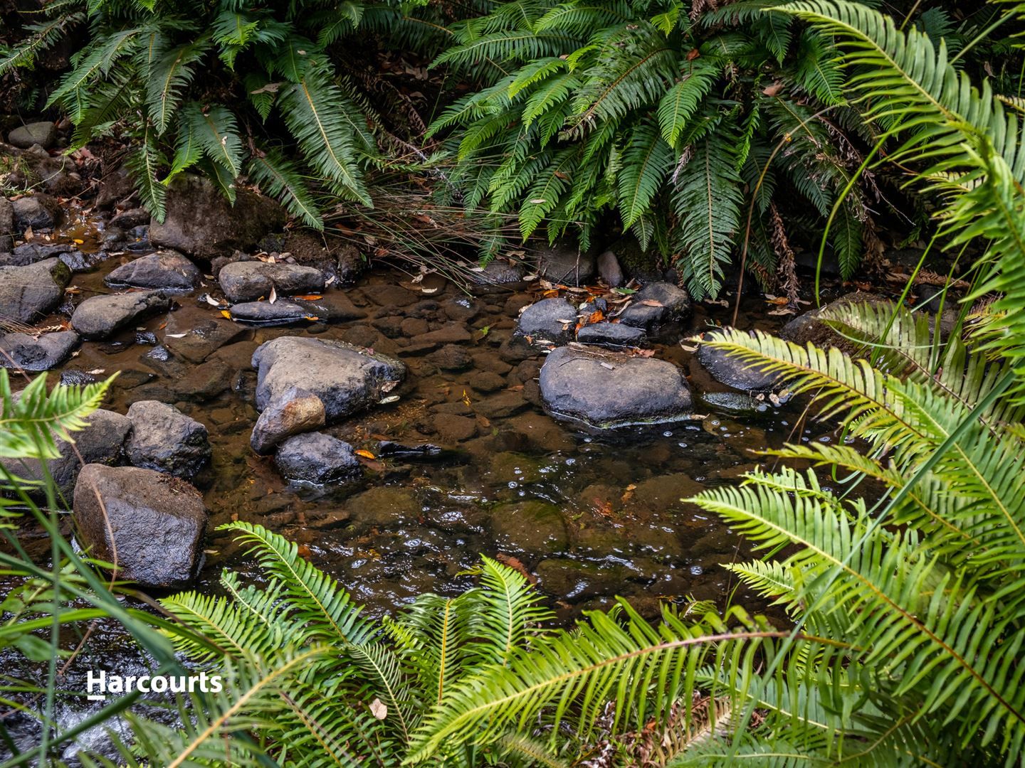 361 Donnellys Road, Geeveston TAS 7116, Image 1