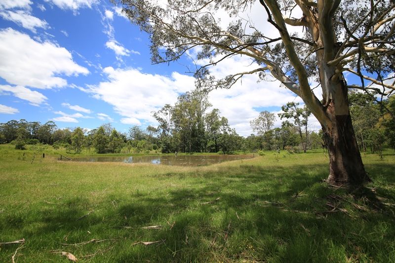 Lot 312 Lower Kangaroo Creek Road, COUTTS CROSSING NSW 2460, Image 0