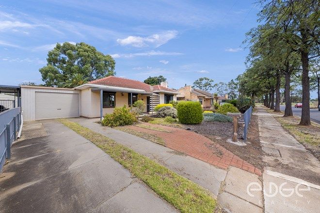48 Rental Properties In Elizabeth Sa 5112 Domain