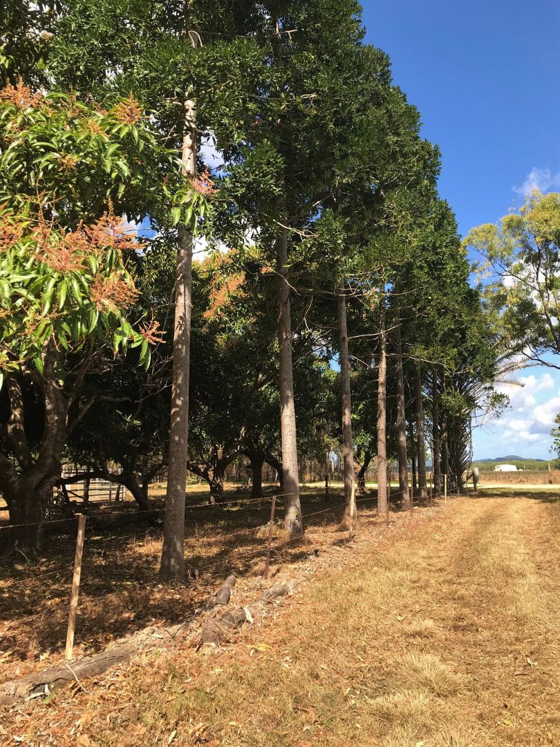 11 Barretts Creek Road, Cooktown Property History & Address Research