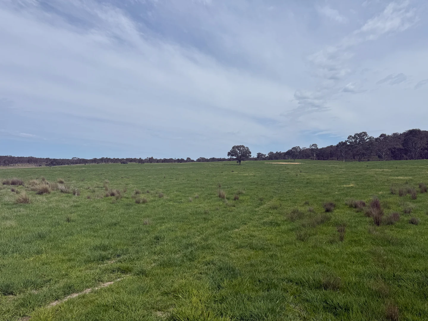 Image 18