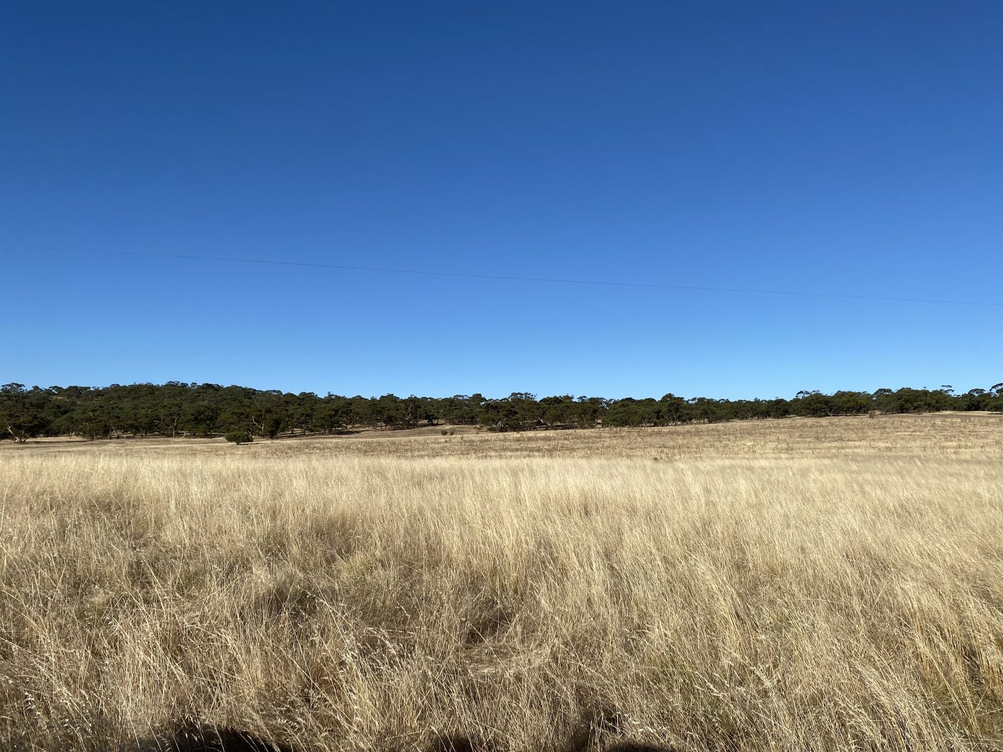 Lot 270 Hill Rd, Alma SA 5401, Image 2