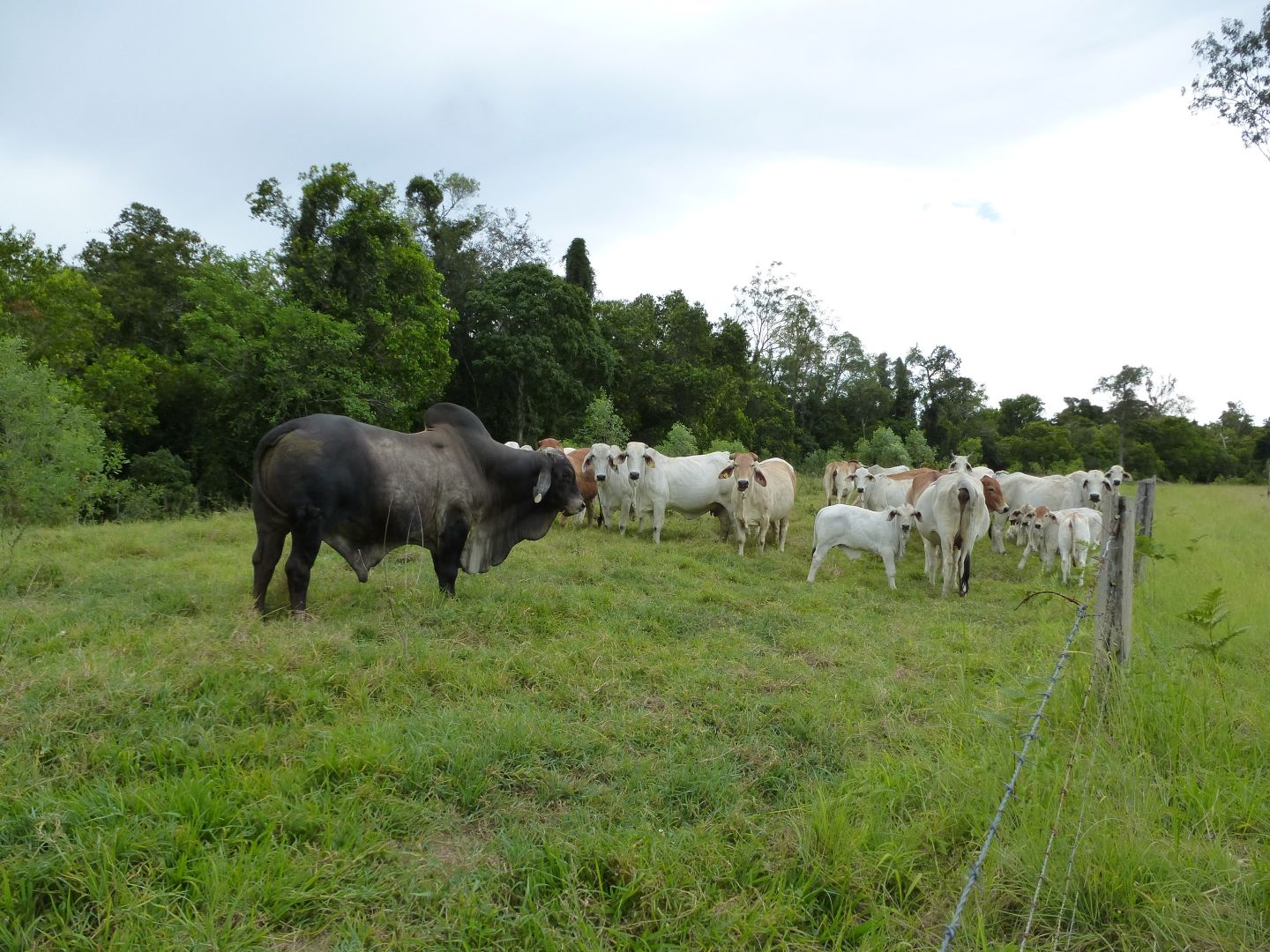 1272 Fingerboard Road, Mount Tom Property History & Address Research