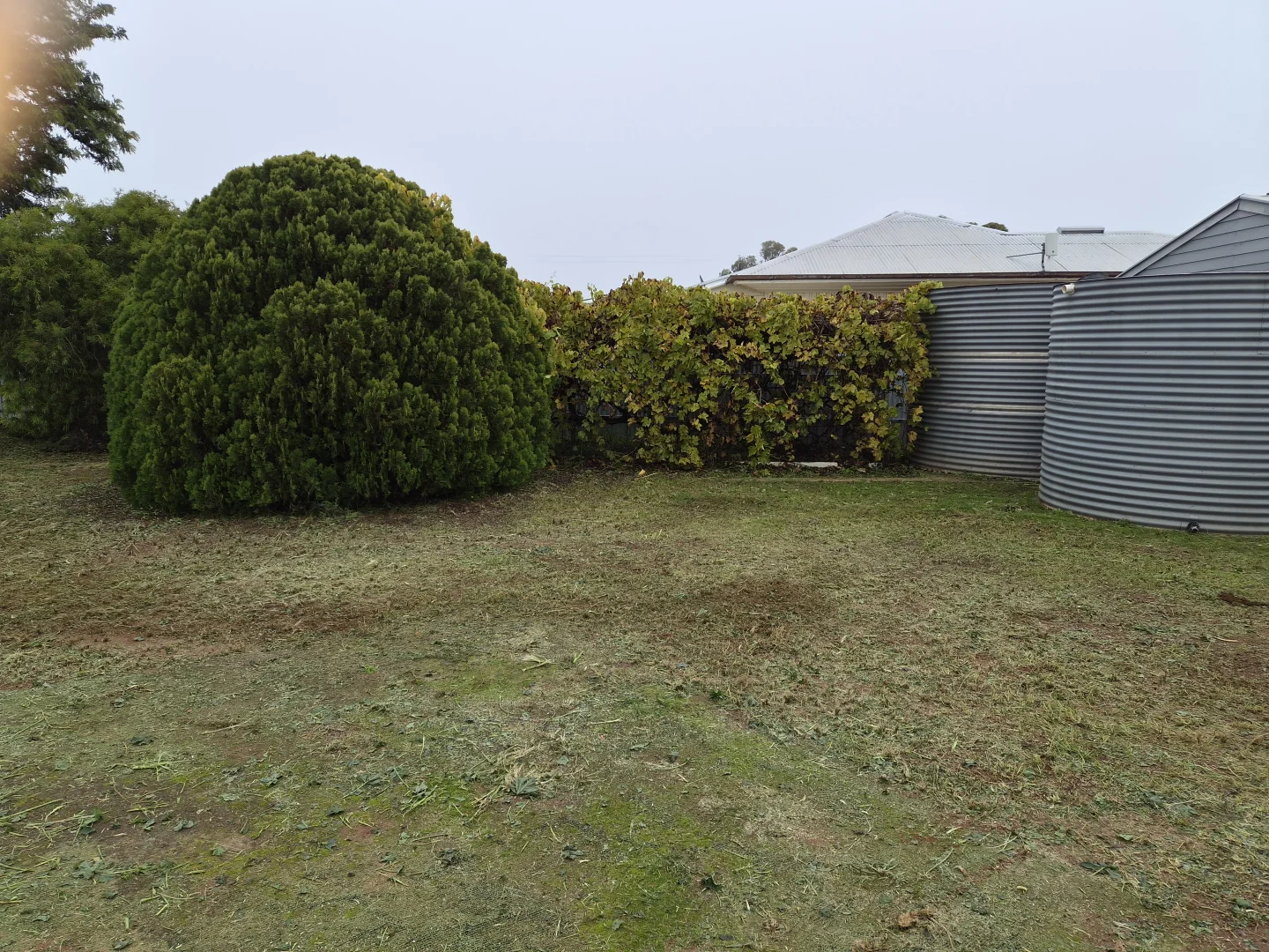 Image 18