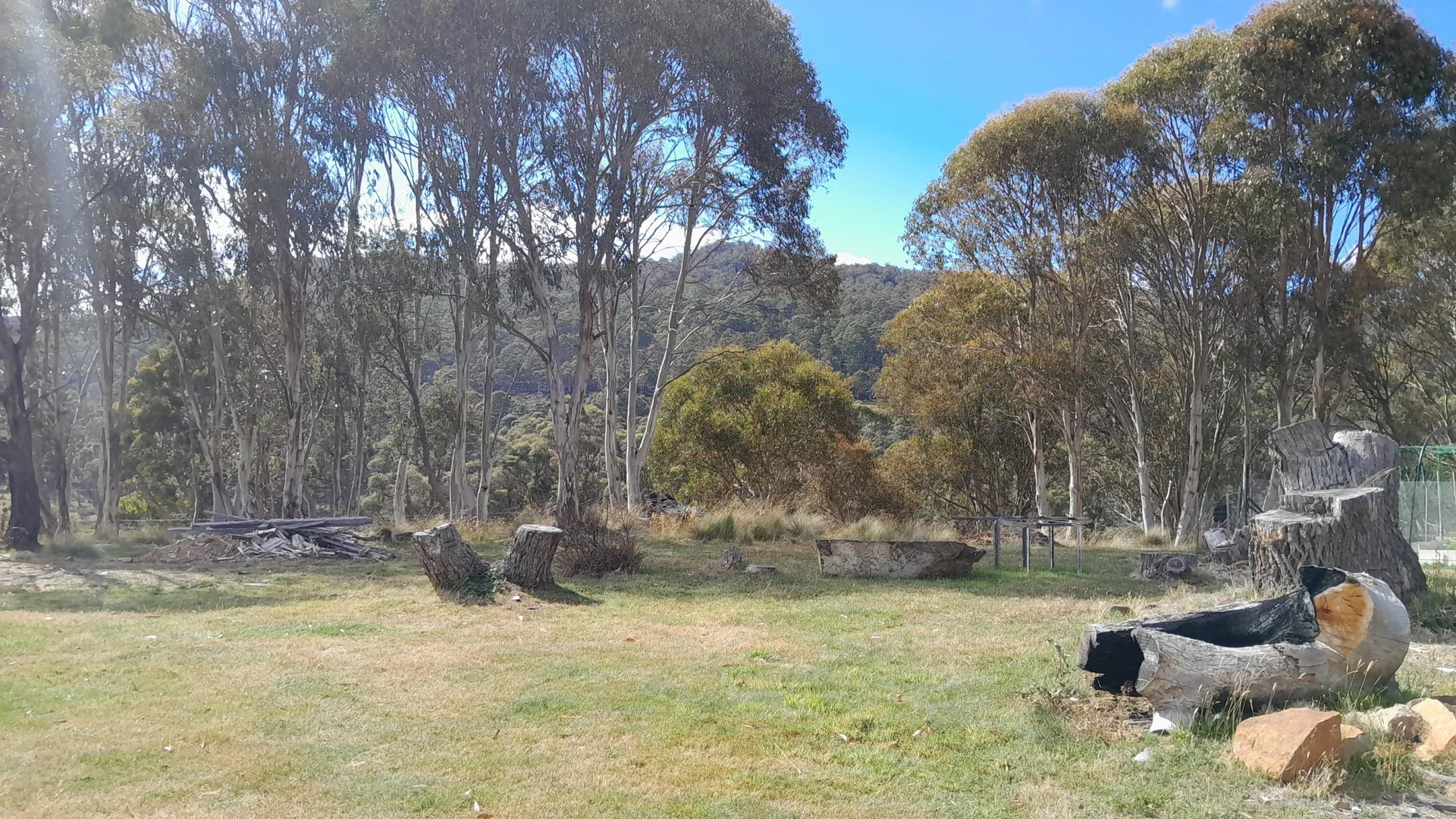 Image 15