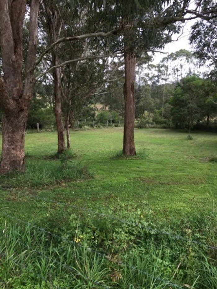 Lot 80 Barlows Gate Road, Lower Acacia Creek NSW 2476, Image 0