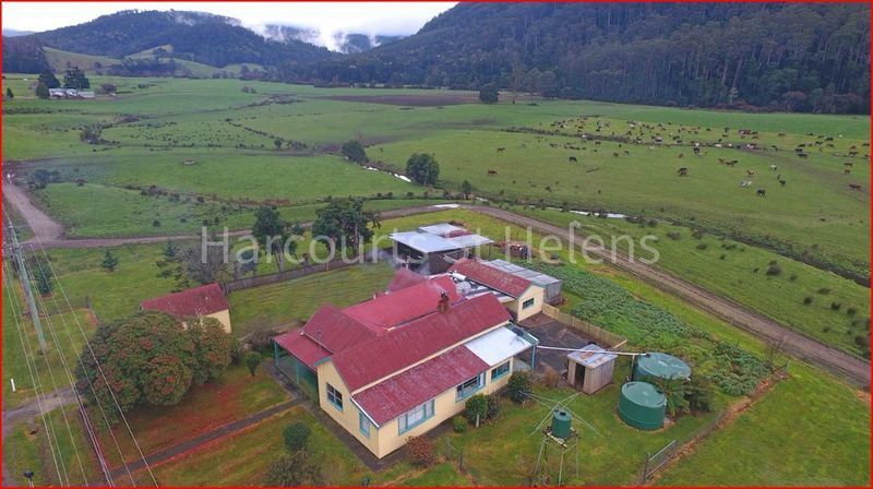 28018 Tasman Highway, Pyengana TAS 7216, Image 2